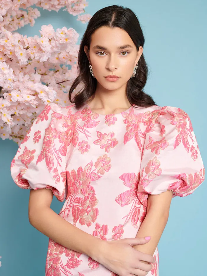 Women Sister Jane Dresses Floret Jacquard Mini Dress Blush Pink