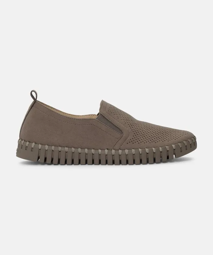 Women Tulip Flats Ilse Jacobsen Flats 8211 Falcon Falcon Women Tulip Flats Ilse Jacobsen Flats 8211 Falcon Falcon